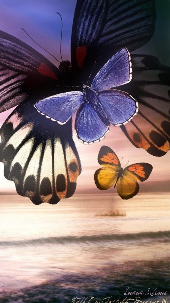 papeis de parede para celular de borboletas 4k